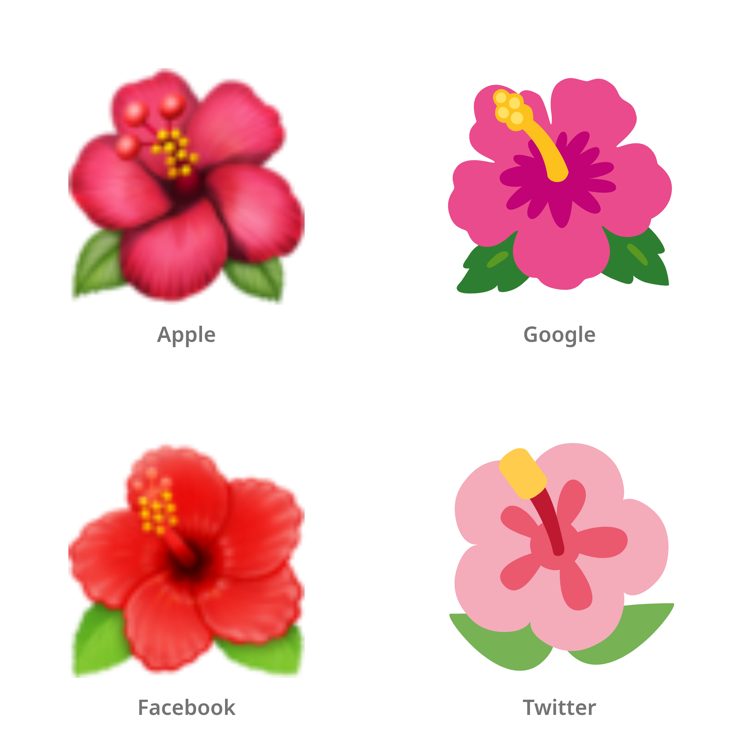 De emoji hibiscus in Apple-, Google-, Facebook- en Twitter-stijl