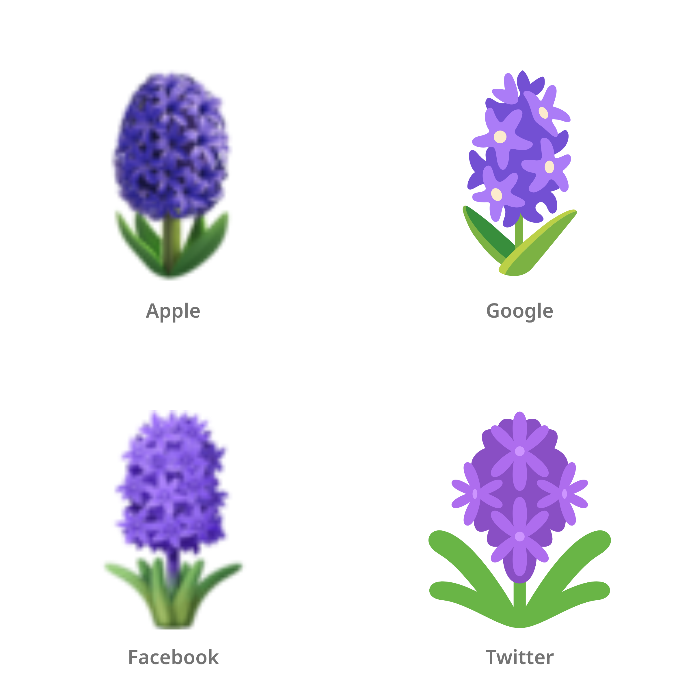 De emoji hyacint in Apple-, Google-, Facebook- en Twitter-stijl